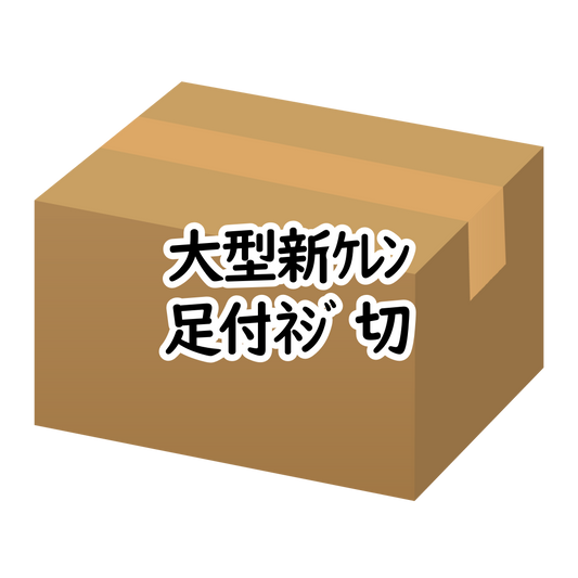 大型新ｹﾚﾝ足付ﾈｼﾞ切 19mm（3*15）100入